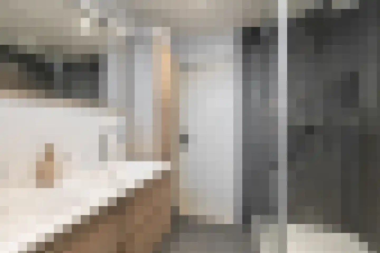 Graanstraat 37 Purmerend thumbnail 31