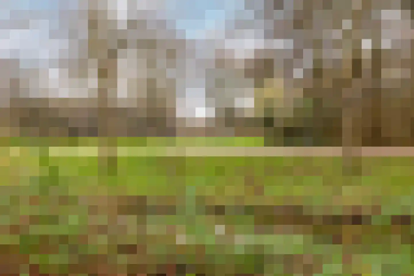 Graanstraat 37 Purmerend thumbnail 47