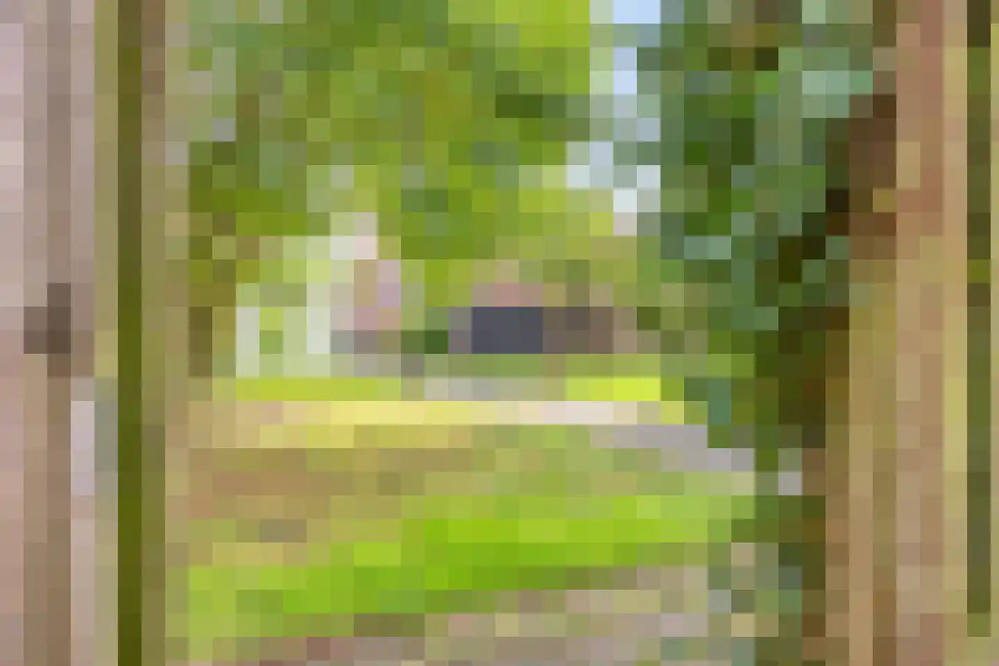 Graanstraat 51 Purmerend thumbnail 31