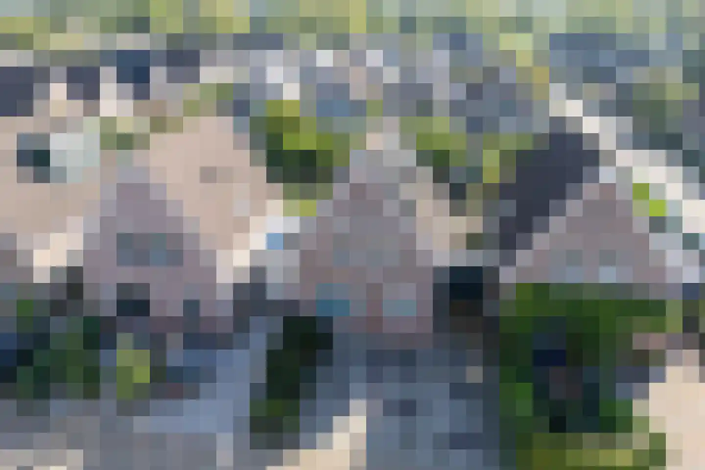 Graanstraat 73 Purmerend thumbnail 5