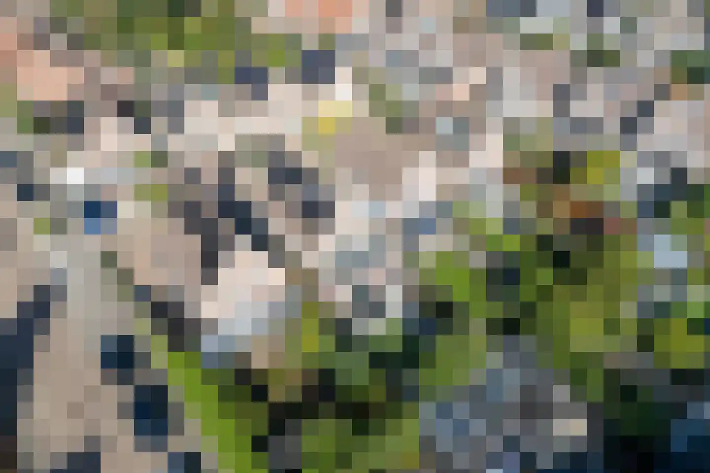 Graanstraat 73 Purmerend thumbnail 66