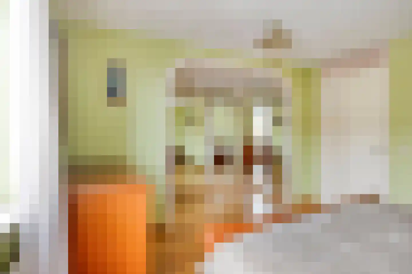Graanveld 25 Naaldwijk thumbnail 20