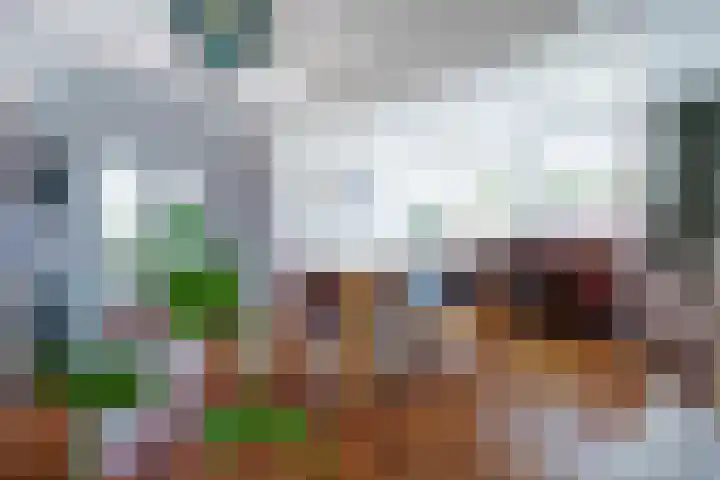 Graanveld 43 Naaldwijk thumbnail 11