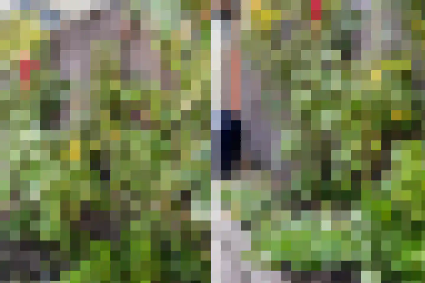 Graanveld 5 Naaldwijk thumbnail 12