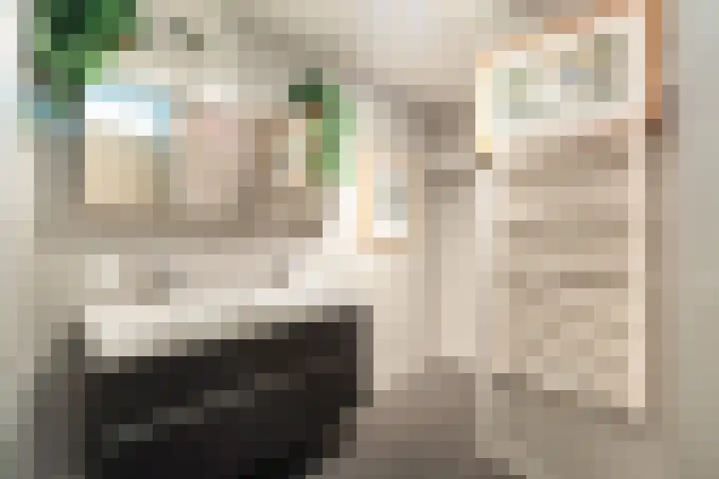 Graanveld 5 Naaldwijk thumbnail 27