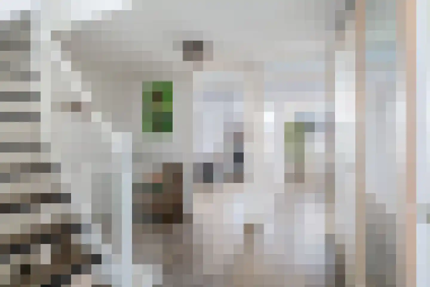 Graanveld 5 Naaldwijk thumbnail 29