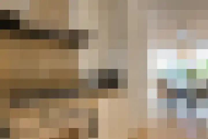 Graanveld 9 Naaldwijk thumbnail 11