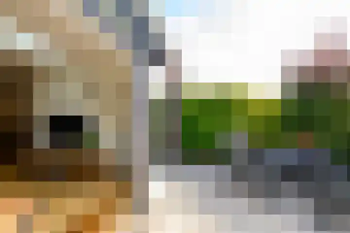 Graanveld 9 Naaldwijk thumbnail 14