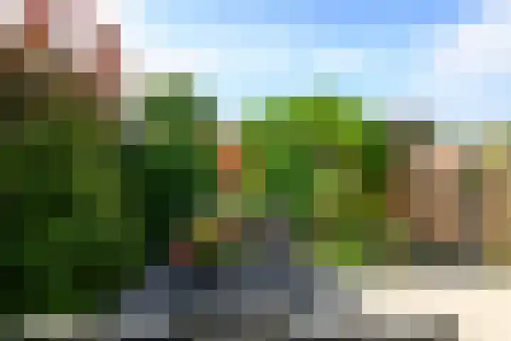 Graanveld 9 Naaldwijk thumbnail 16