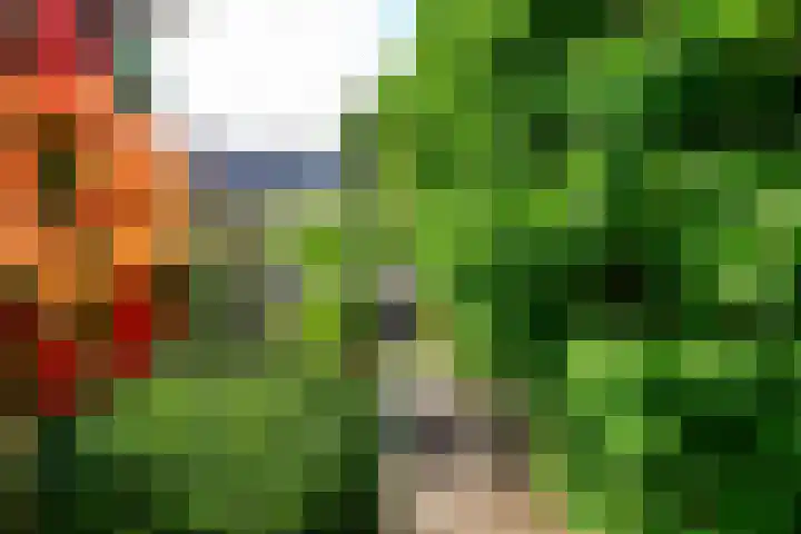 Graanveld 9 Naaldwijk thumbnail 17
