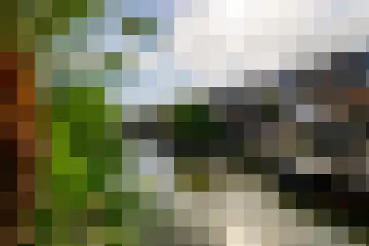 Graanveld 9 Naaldwijk thumbnail 18