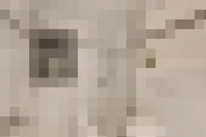 Graanveld 9 Naaldwijk thumbnail 27