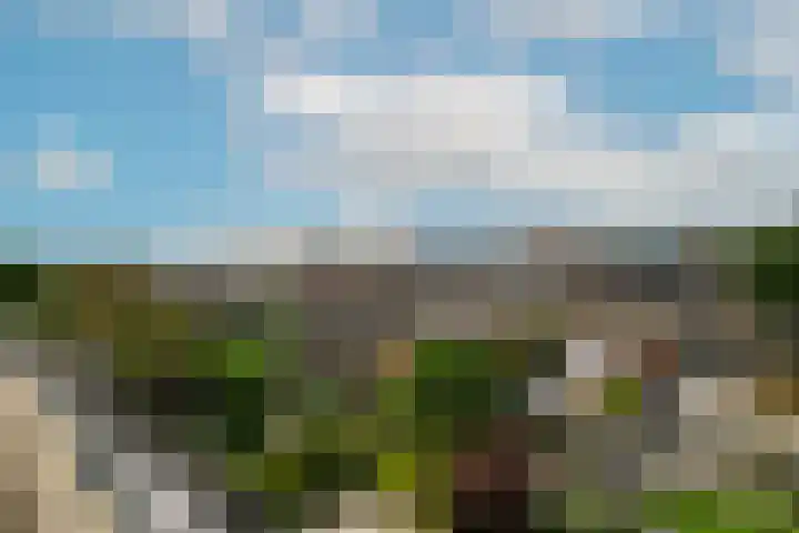Graanveld 9 Naaldwijk thumbnail 42