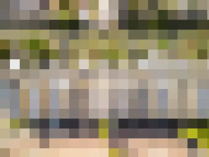 Graanveld 9 Naaldwijk thumbnail 46