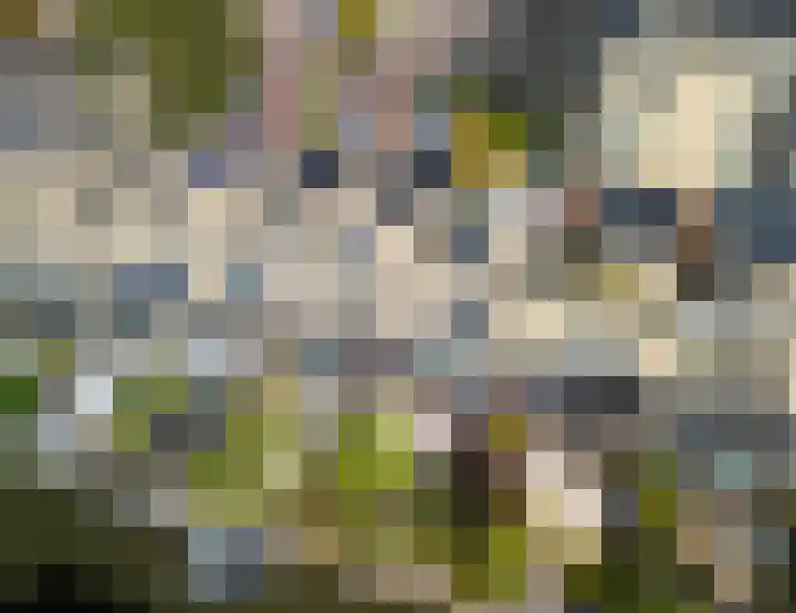 Graanveld 9 Naaldwijk thumbnail 52