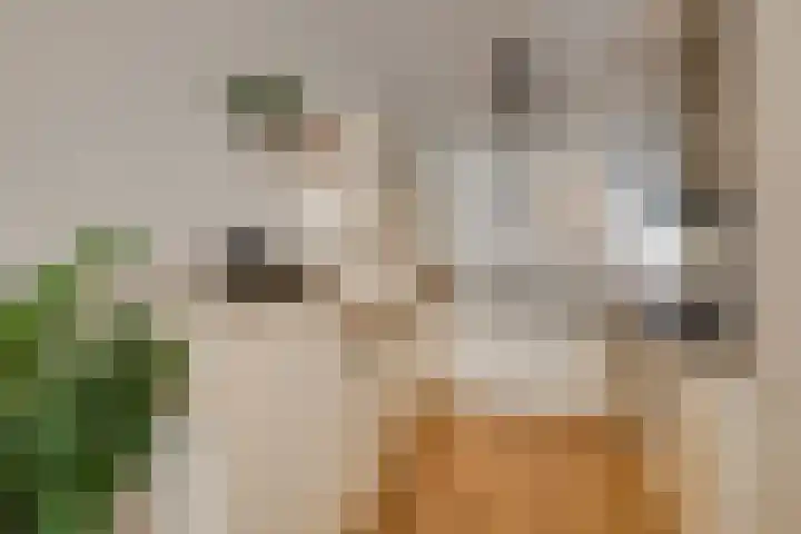 Graanveld 9 Naaldwijk thumbnail 8