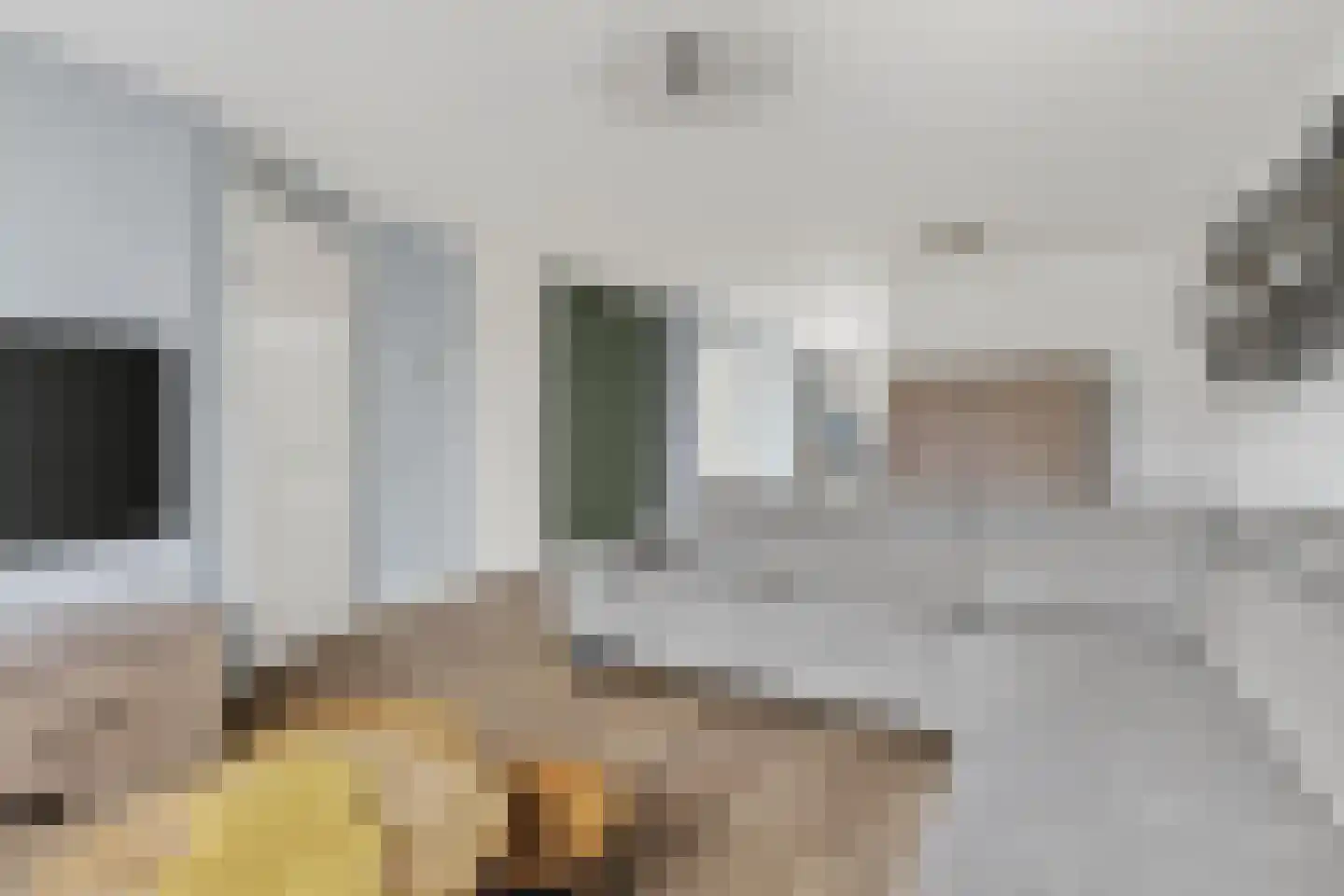 Graanvelden 27 Best thumbnail 4