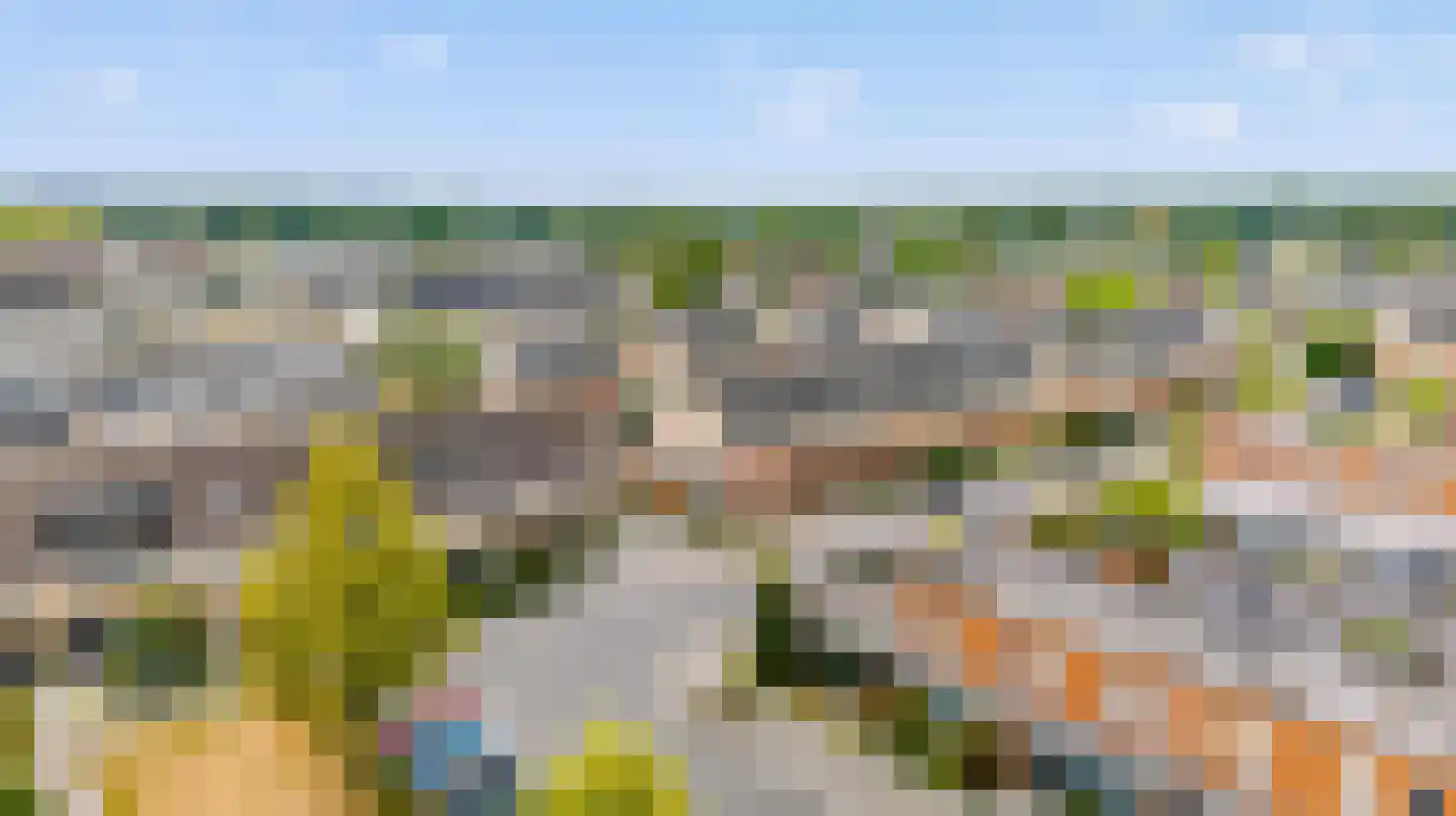 Graanvelden 27 Best thumbnail 43