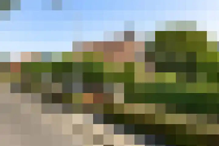 Graauwsedijk 15 Graauw