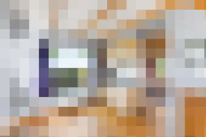 Graauwsedijk 15 Graauw thumbnail 11