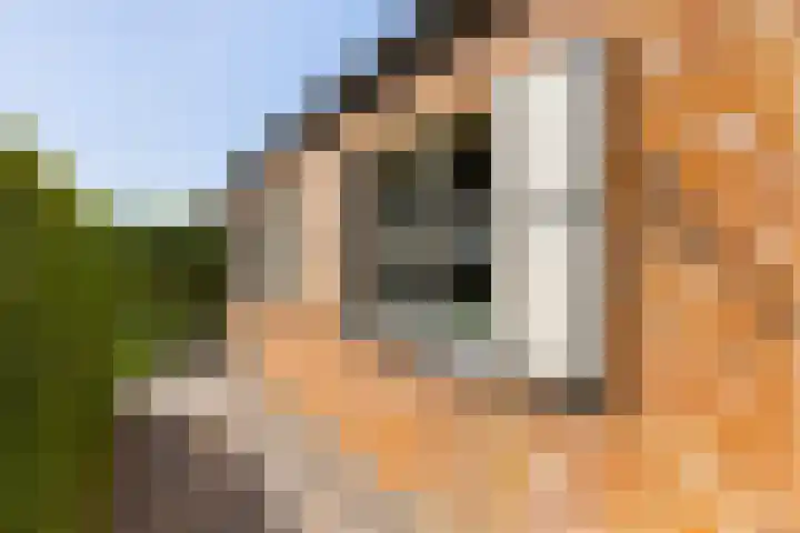 Graauwsedijk 15 Graauw thumbnail 24