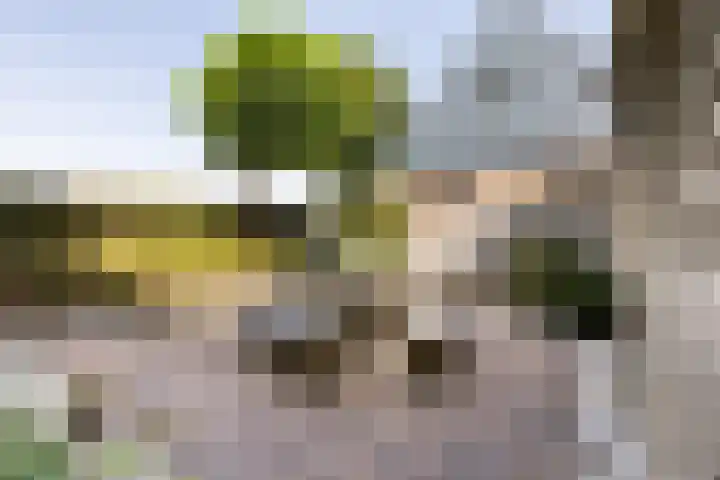 Graauwsedijk 15 Graauw thumbnail 25