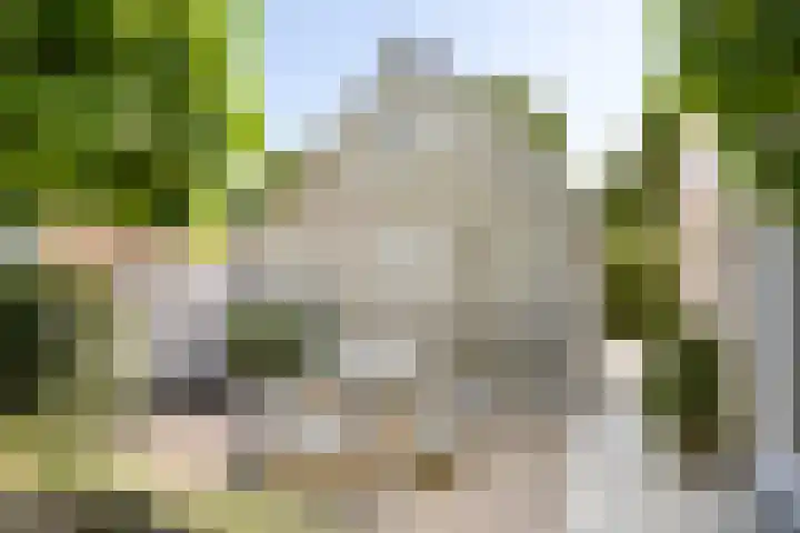 Graauwsedijk 15 Graauw thumbnail 26