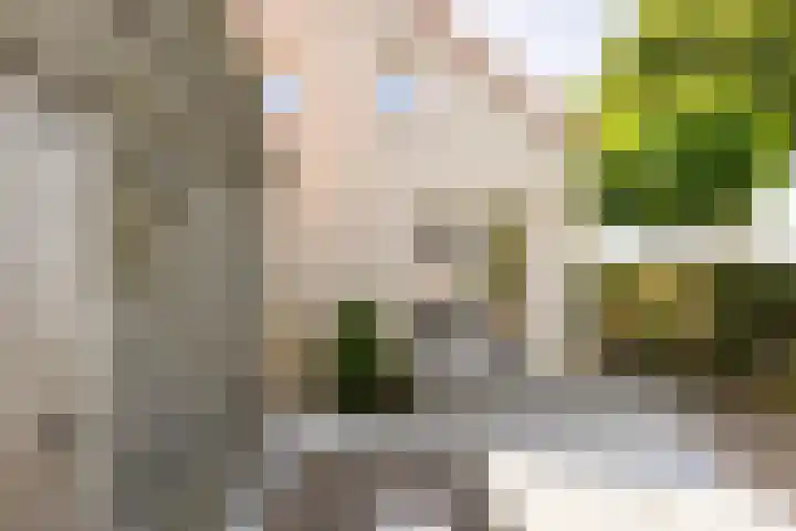 Graauwsedijk 15 Graauw thumbnail 27