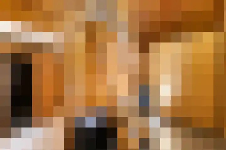 Graauwsedijk 15 Graauw thumbnail 28