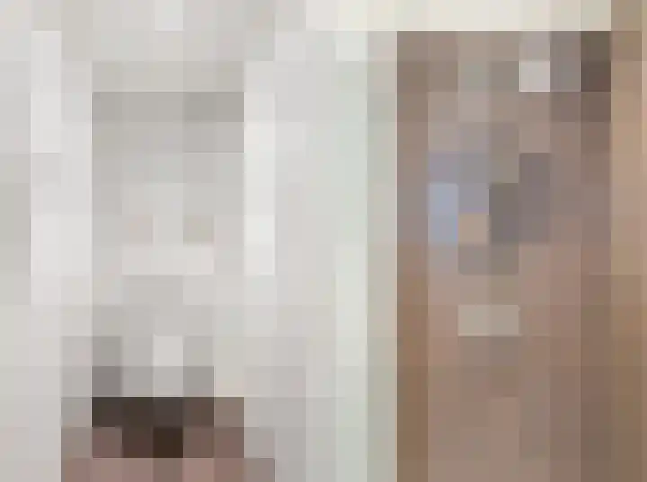 Graauwsedijk 15 Graauw thumbnail 30