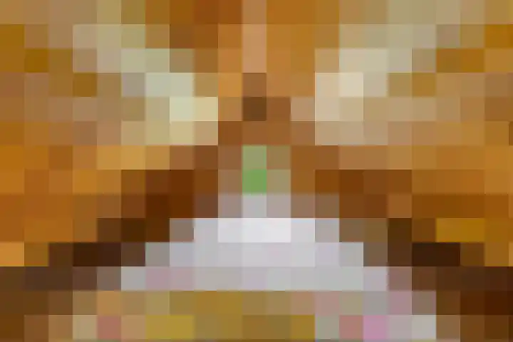 Graauwsedijk 15 Graauw thumbnail 34