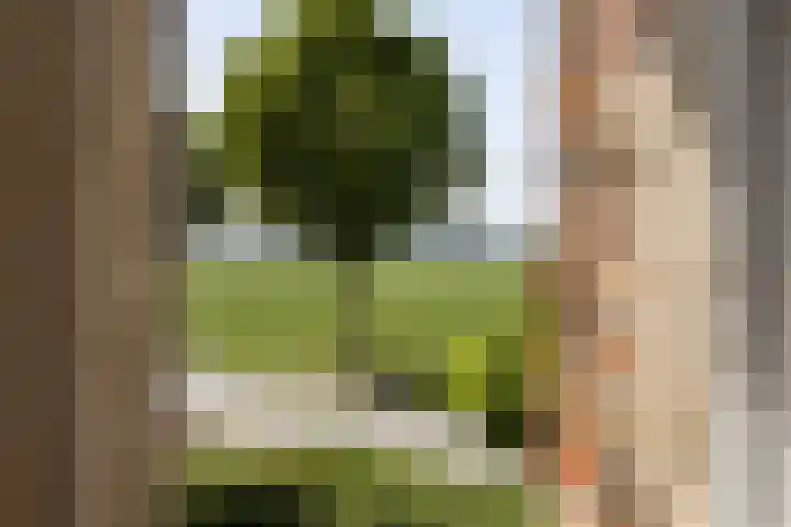 Graauwsedijk 15 Graauw thumbnail 37
