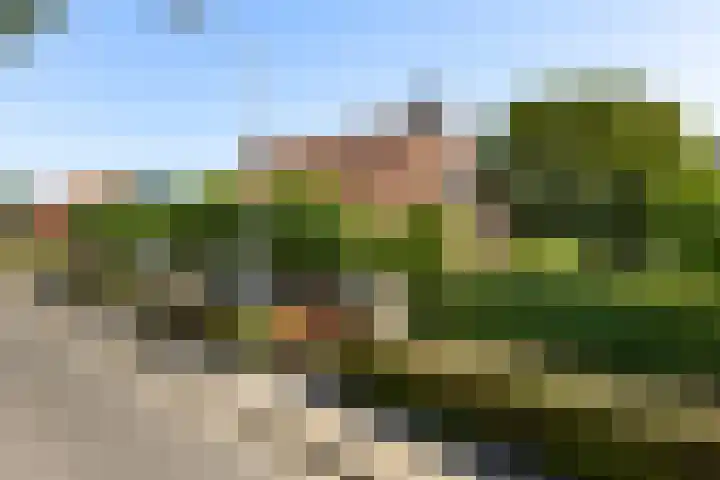 Graauwsedijk 15 Graauw thumbnail 43