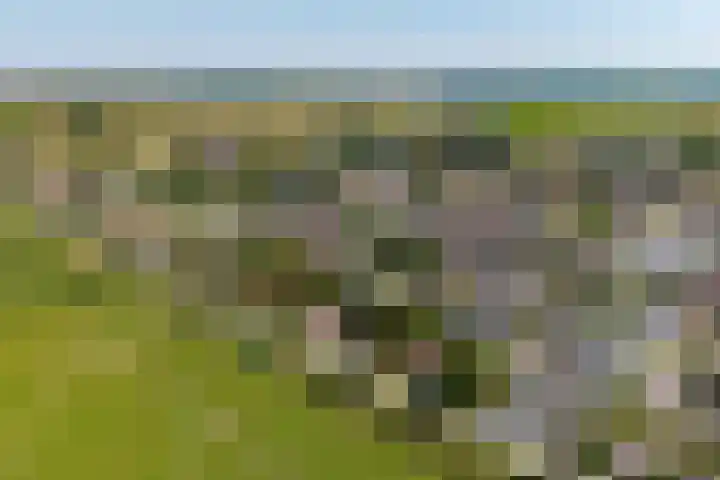 Graauwsedijk 15 Graauw thumbnail 5