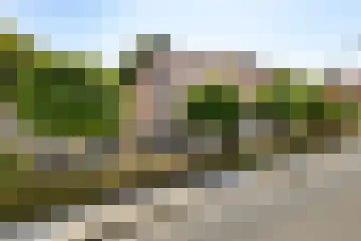 Graauwsedijk 15 Graauw thumbnail 6