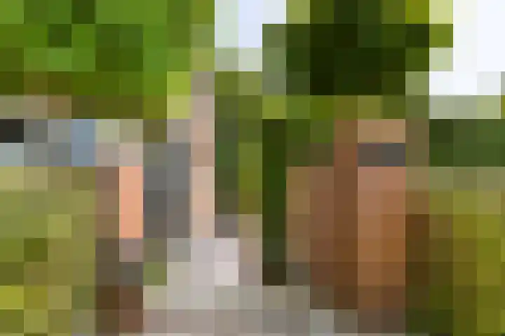 Graauwsedijk 15 Graauw thumbnail 8