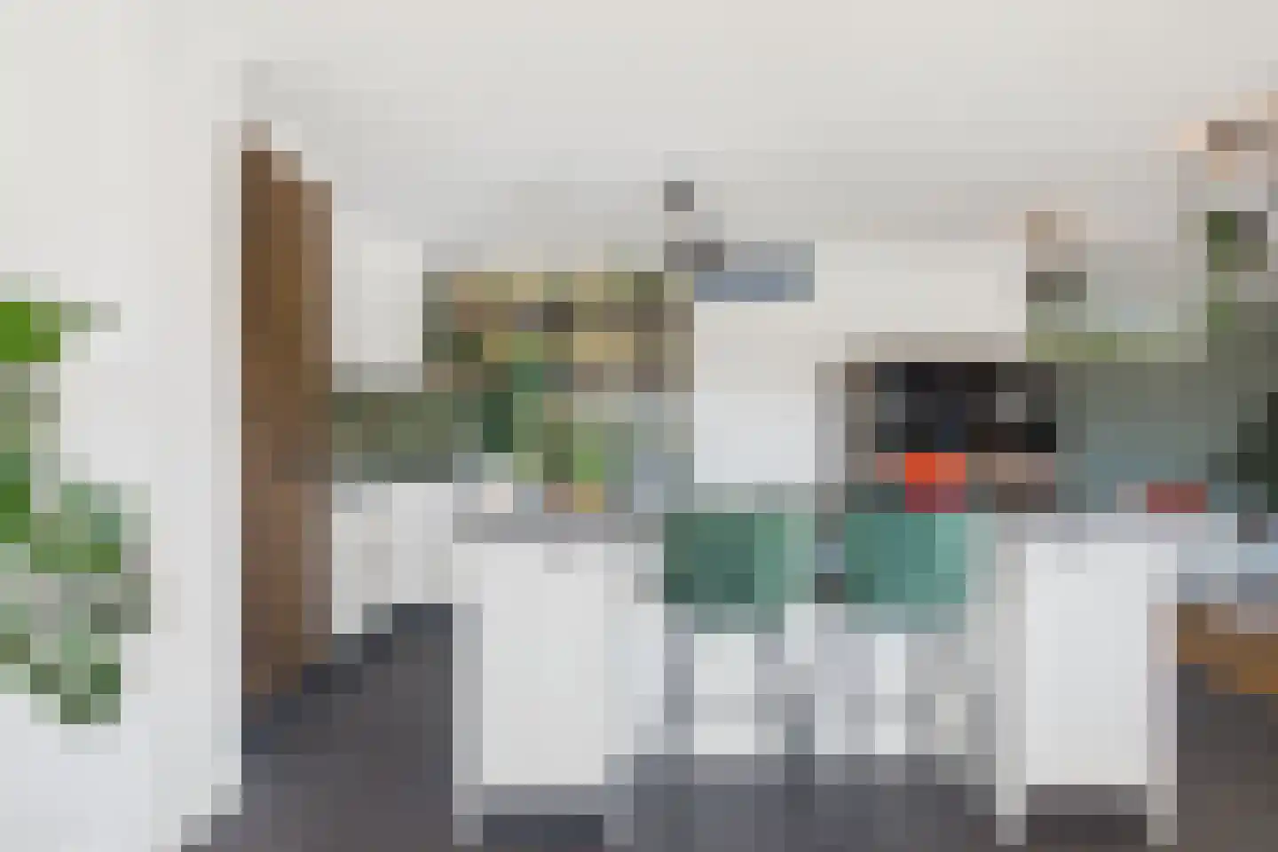 Graauwsedijk 23 Graauw thumbnail 12