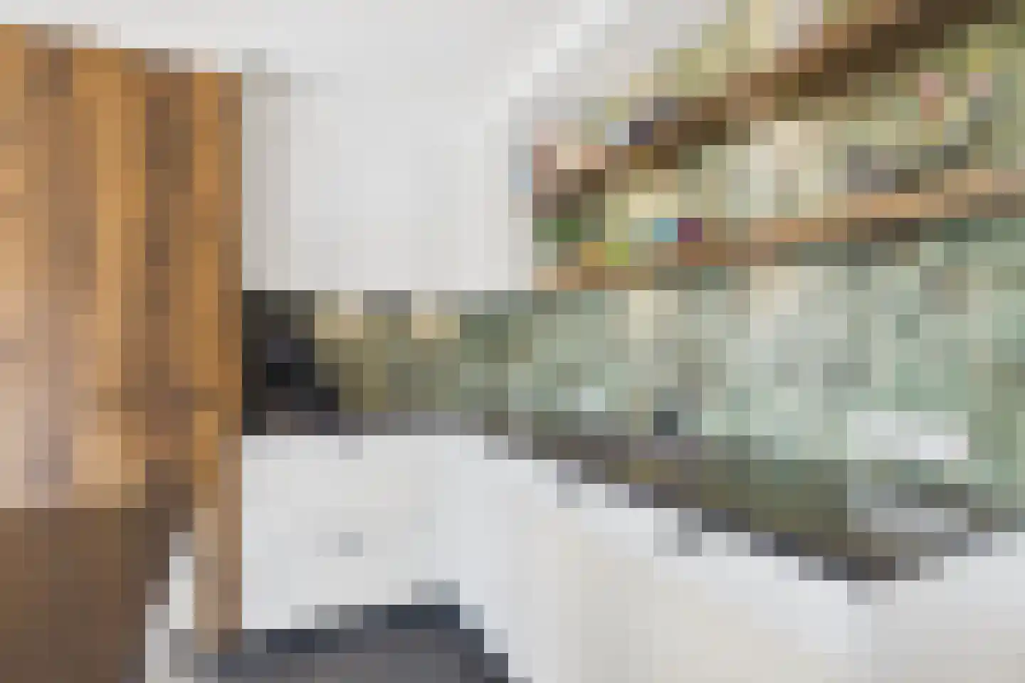 Graauwsedijk 23 Graauw thumbnail 13