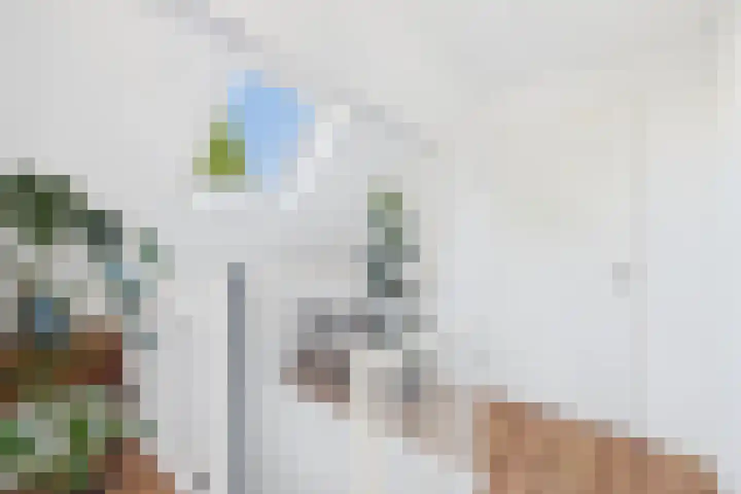 Graauwsedijk 23 Graauw thumbnail 24