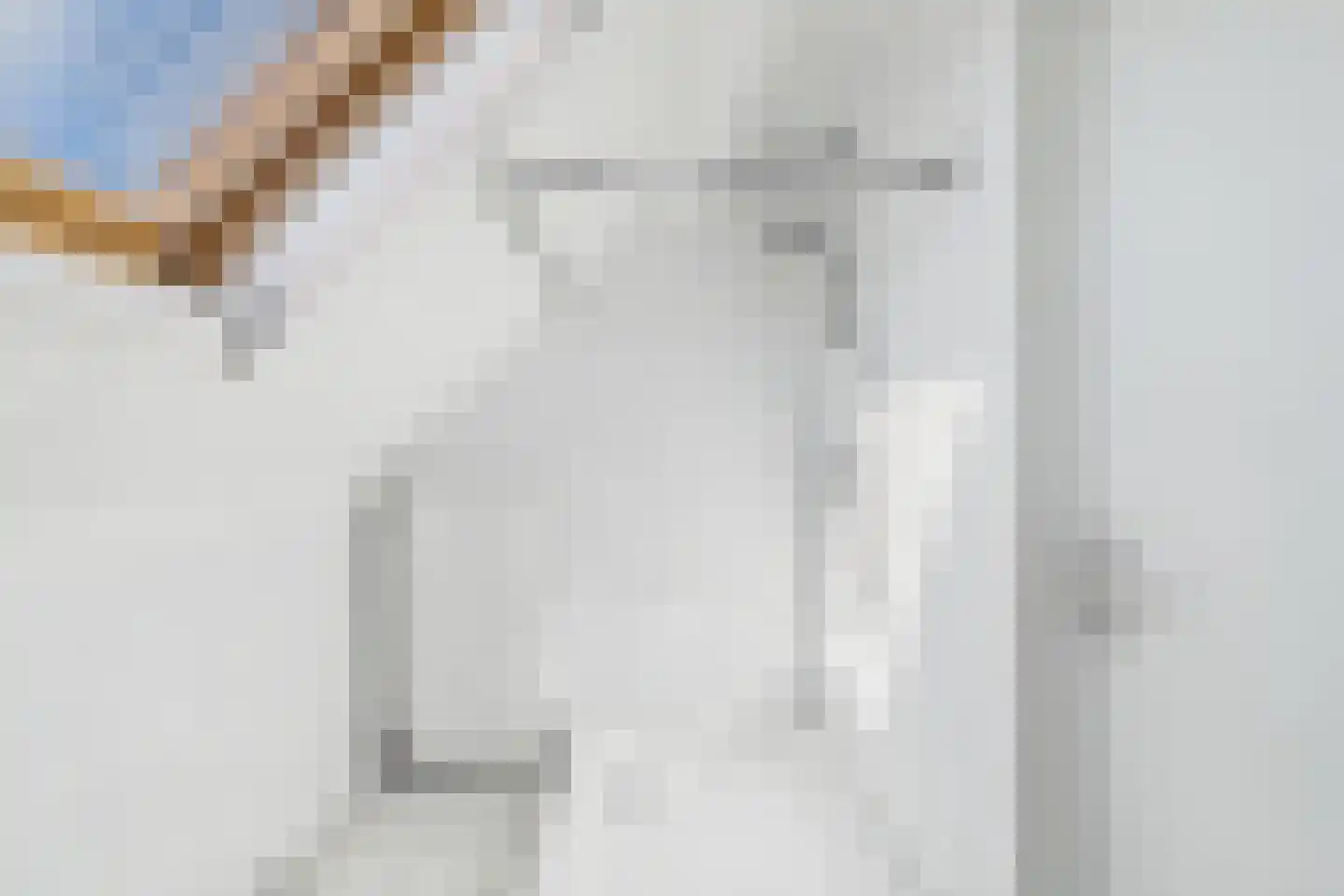 Graauwsedijk 23 Graauw thumbnail 26