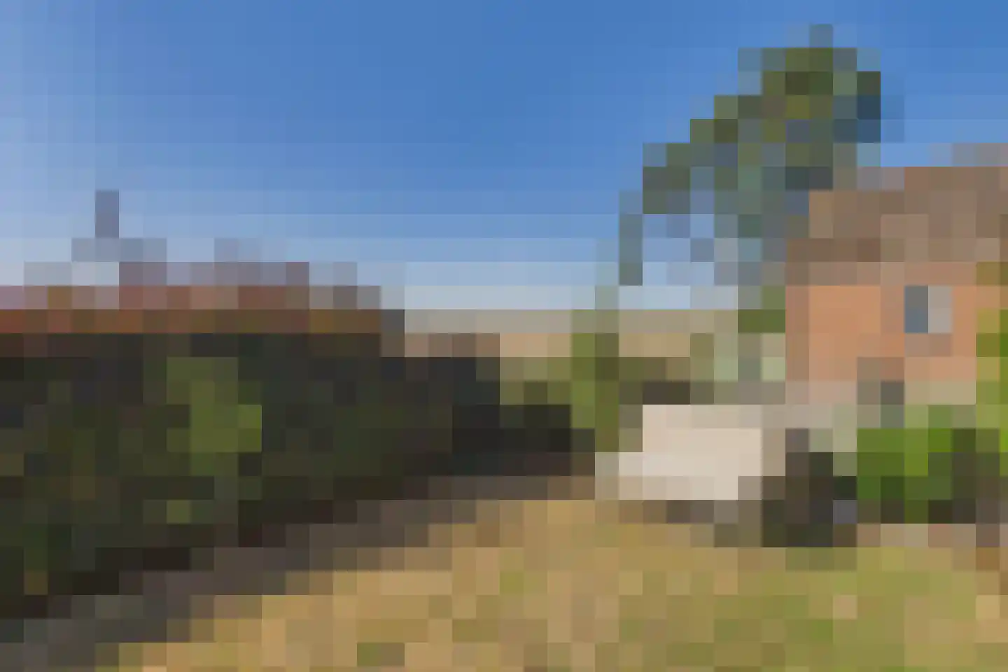 Graauwsedijk 23 Graauw thumbnail 29