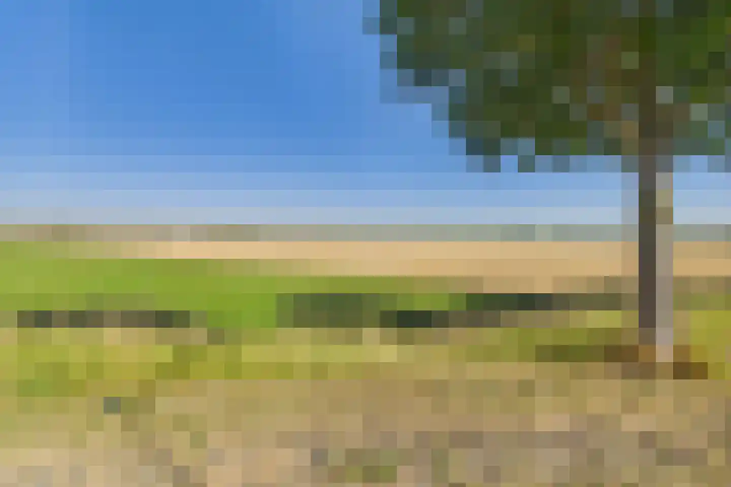 Graauwsedijk 23 Graauw thumbnail 32