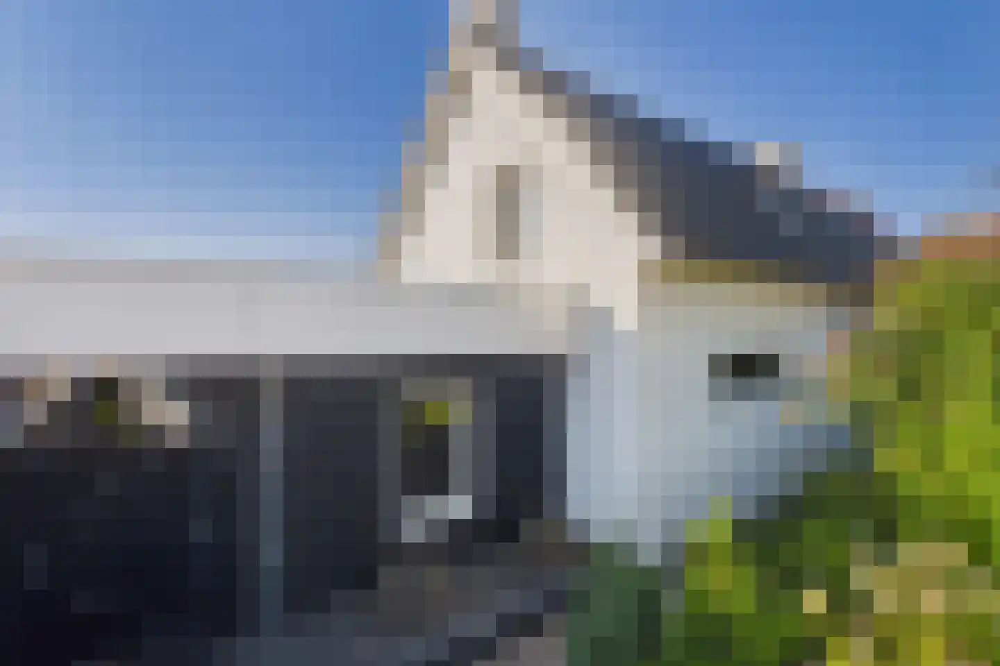Graauwsedijk 23 Graauw thumbnail 7