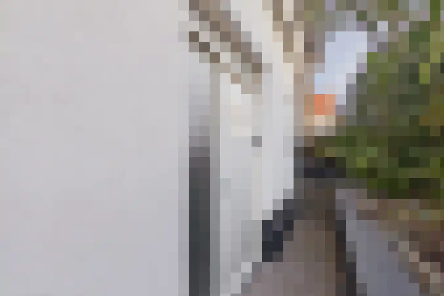 Graauwsedijk 23 Graauw thumbnail 8