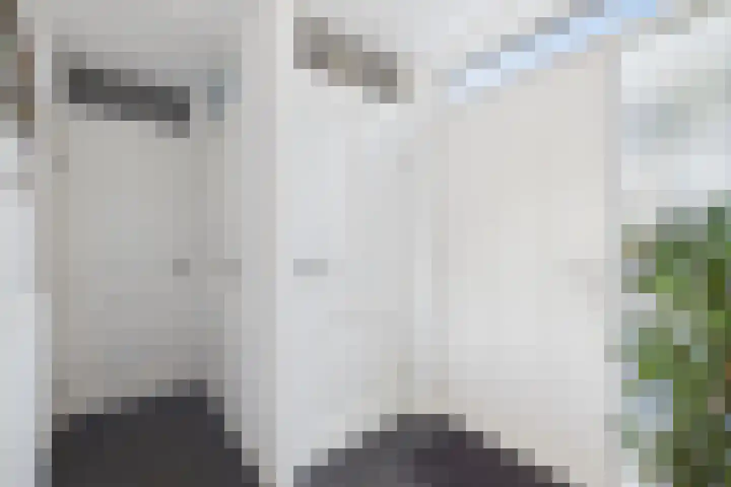 Graauwsedijk 23 Graauw thumbnail 9