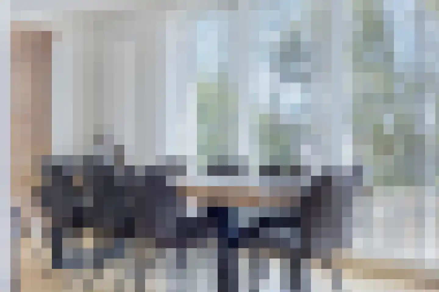 Graauwsedijk 29 Graauw thumbnail 15