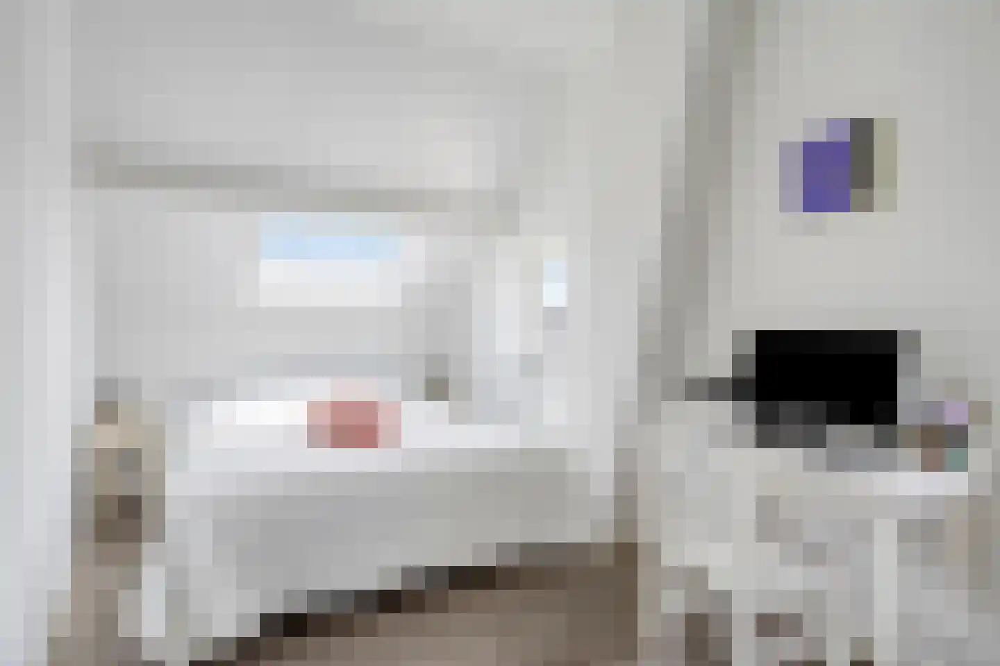 Graauwsedijk 29 Graauw thumbnail 23