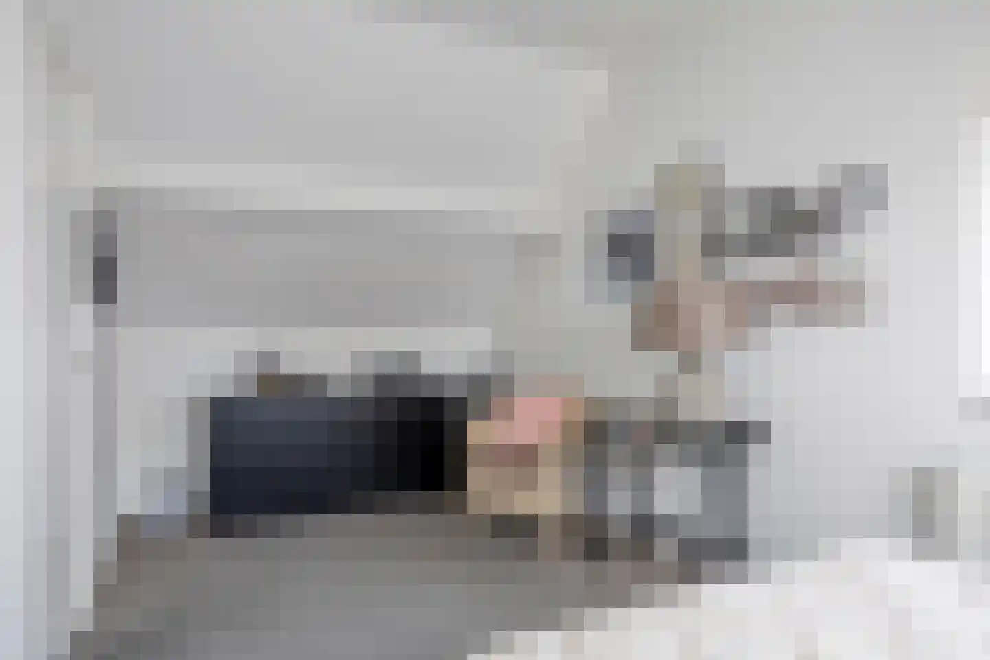 Graauwsedijk 29 Graauw thumbnail 28