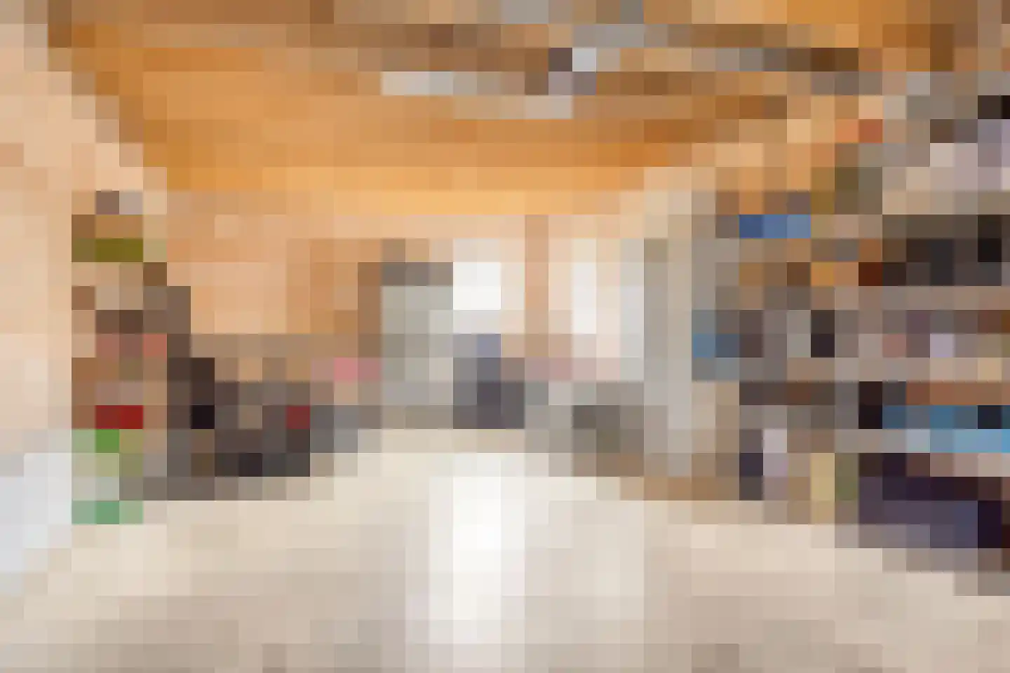 Graauwsedijk 29 Graauw thumbnail 30