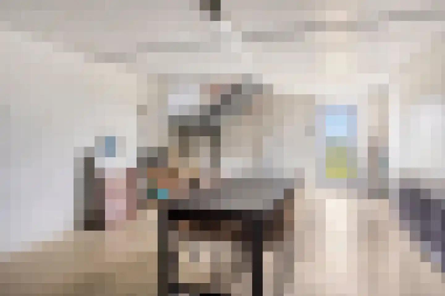 Graauwsedijk 29 Graauw thumbnail 32